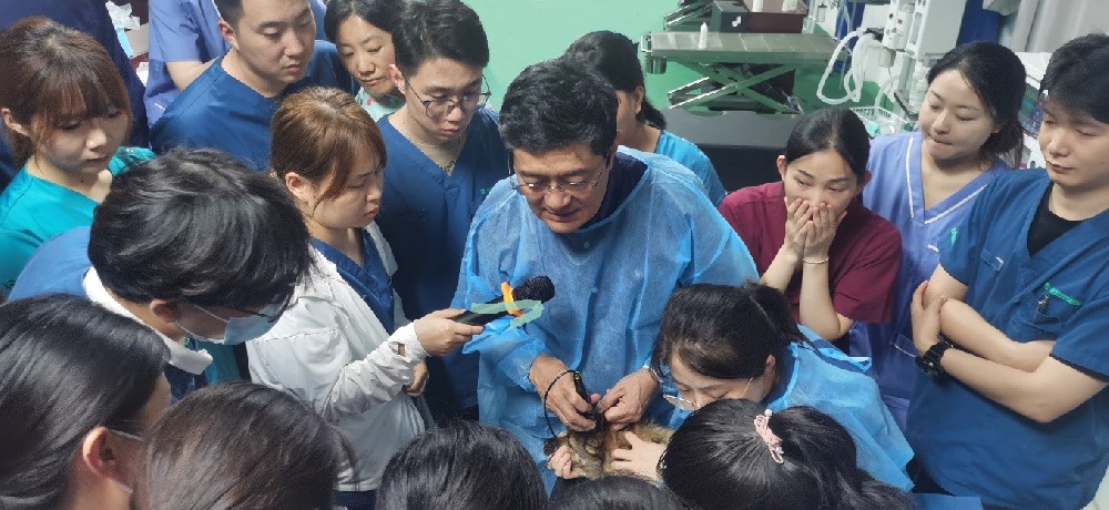 1731574818174673.jpg 1.jpg